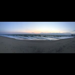 Meet your Posher, Joni